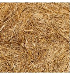 wheat-straw