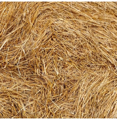 wheat-straw